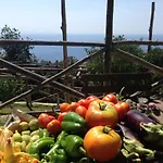 Oda ve Kahvaltı Casa Flora