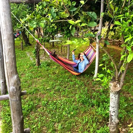 Casa Flora Bed and Breakfast Vietri