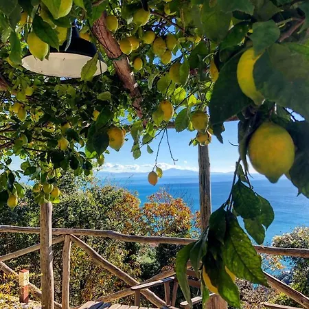 Casa Flora Bed and Breakfast 2*