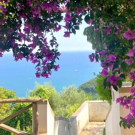 Bed and Breakfast Casa Flora Vietri