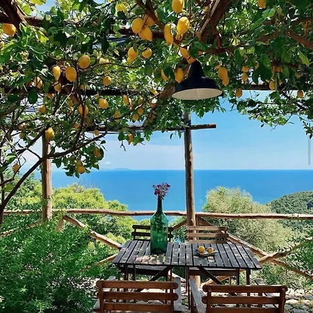 Oda ve Kahvaltı Casa Flora 2*