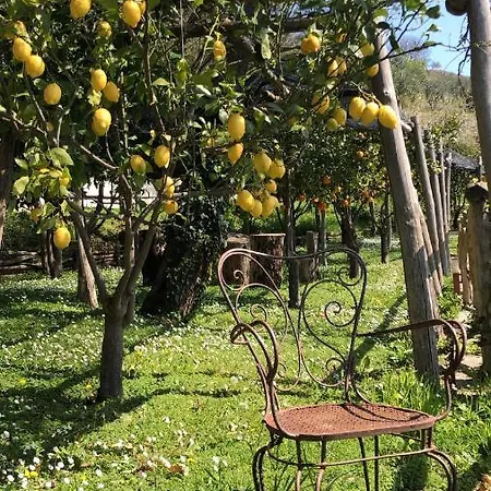 Casa Flora Bed and Breakfast 2*