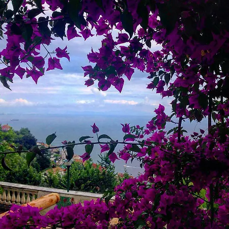 Casa Flora Bed and Breakfast Vietri