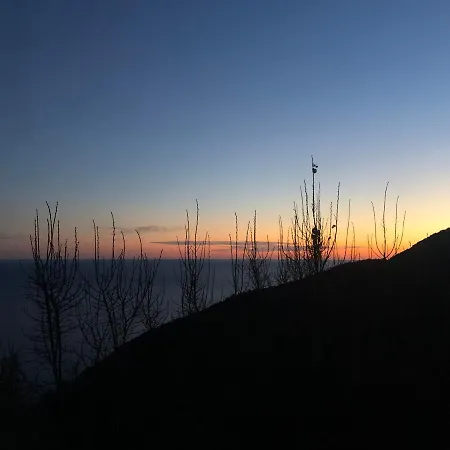 Bed and Breakfast Casa Flora