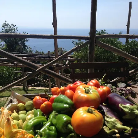 Bed and Breakfast Casa Flora