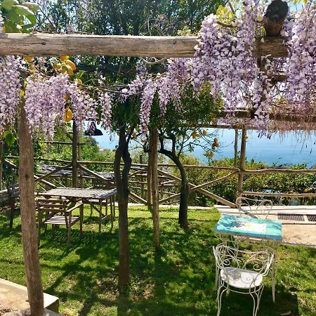 Casa Flora 2* Vietri sul Mare