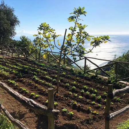 לינה וארוחת בוקר Casa Flora 2*