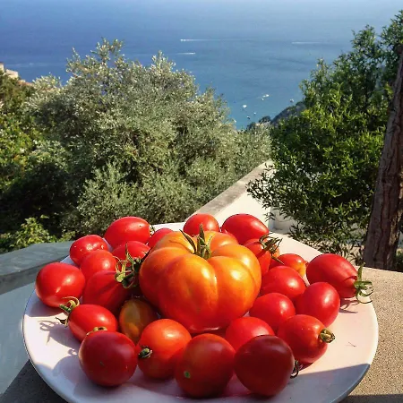 Casa Flora 2*
