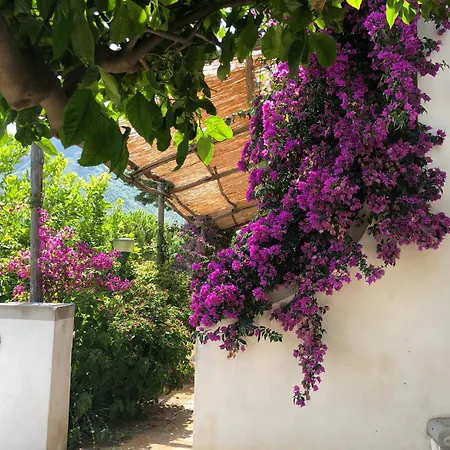 לינה וארוחת בוקר Casa Flora Vietri