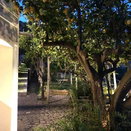 Casa Flora Alojamento de Acomodação e Pequeno-almoço Vietri