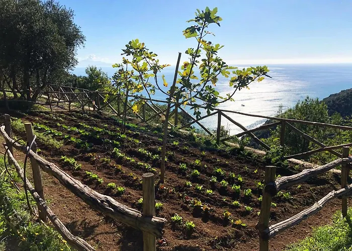 Bed and breakfast Casa Flora 2*