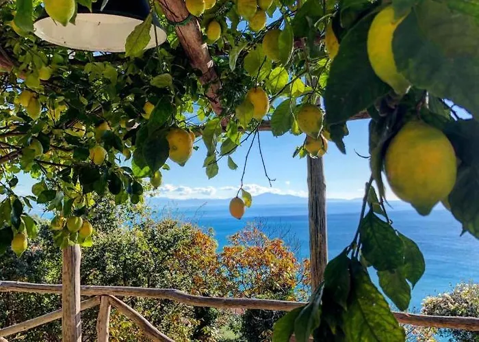 Casa Flora Bed and breakfast 2*