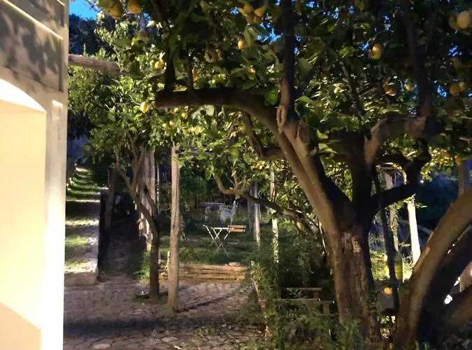 Casa Flora Bed and breakfast Vietri
