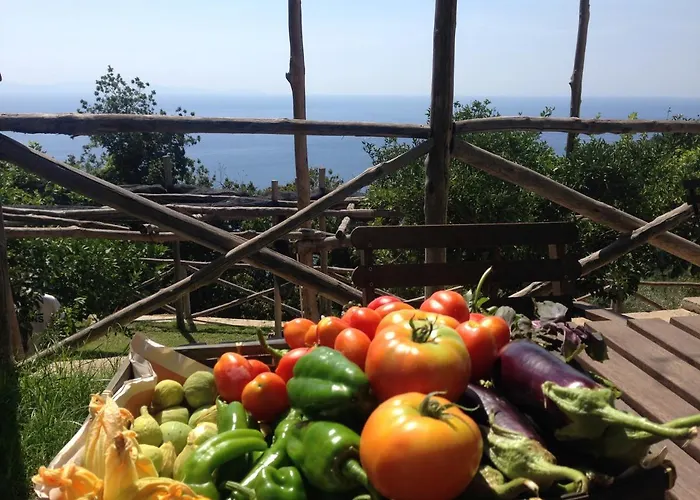 Bed and breakfast Casa Flora